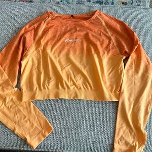 Alphalete Ombre Seamless LS Crop (Day Tripper)